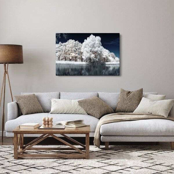 Kép - Hófehér fák (90x60 cm)