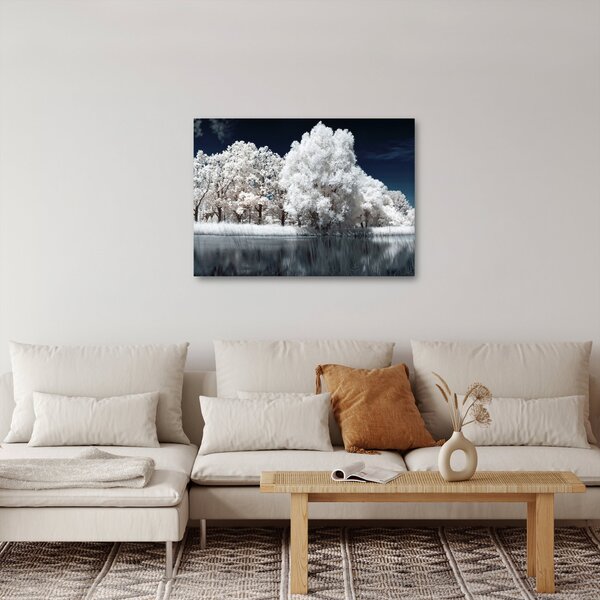 Kép - Hófehér fák (70x50 cm)