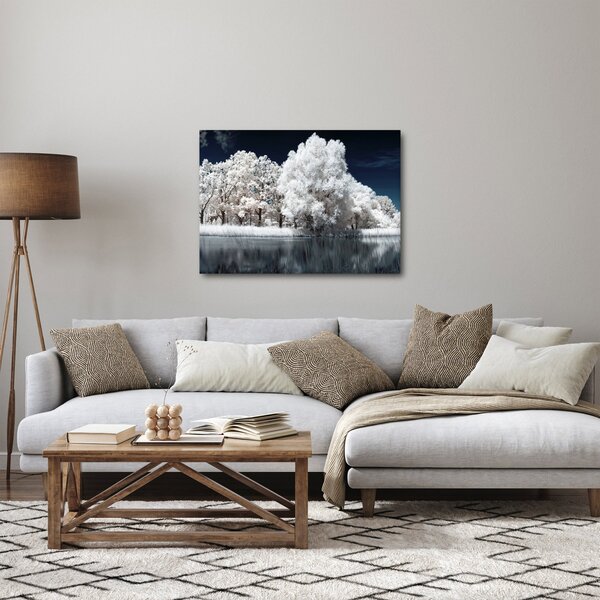 Kép - Hófehér fák (70x50 cm)