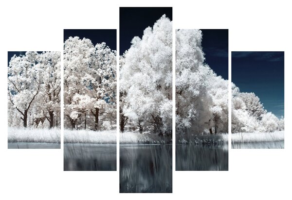 Kép - Hófehér fák (150x105 cm)