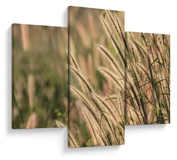 Kép - Gabona (90x60 cm)