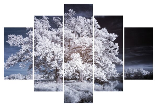Kép - Hófehérke fa (150x105 cm)