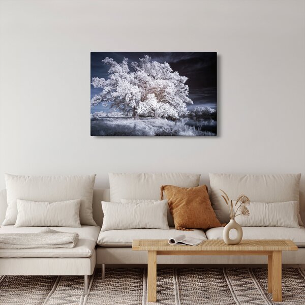 Kép - Hófehérke fa (90x60 cm)
