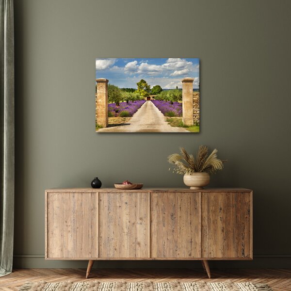 Kép - Levendula ösvények (70x50 cm)