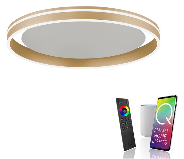 Q-Smart-Home Paul Neuhaus Q-VITO LED mennyezeti lámpa, Ø 60cm, dimmelhető, Sárgaréz / arany, Nappali / Étkező, fém, Modern