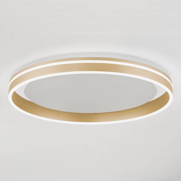Q-Smart-Home Paul Neuhaus Q-VITO LED mennyezeti lámpa, Ø 60cm, dimmelhető, Sárgaréz / arany, Nappali / Étkező, fém, Modern
