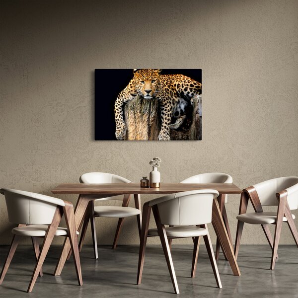 Kép - Gepárd (90x60 cm)