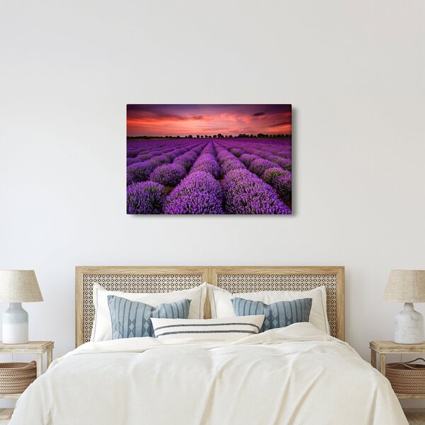 Kép - Levendula mező (90x60 cm)