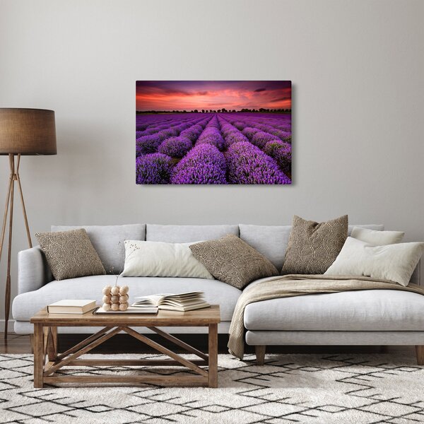 Kép - Levendula mező (90x60 cm)