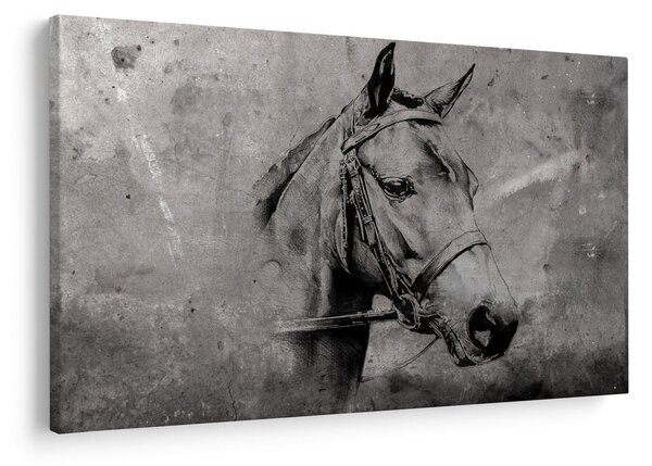 Kép - Egy ló portréja (90x60 cm)