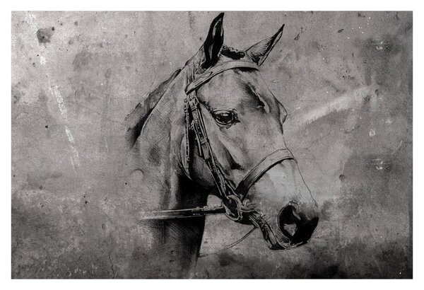 Kép - Egy ló portréja (90x60 cm)