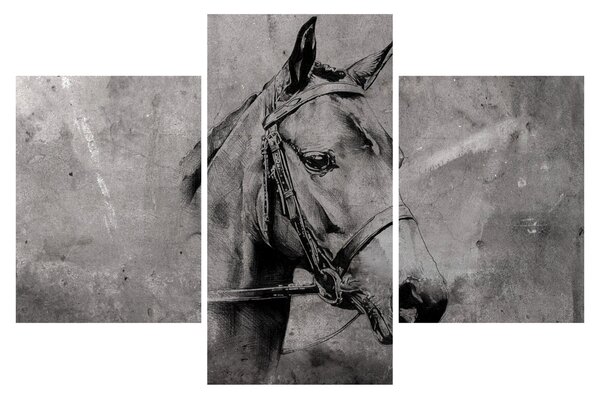 Kép - Egy ló portréja (90x60 cm)