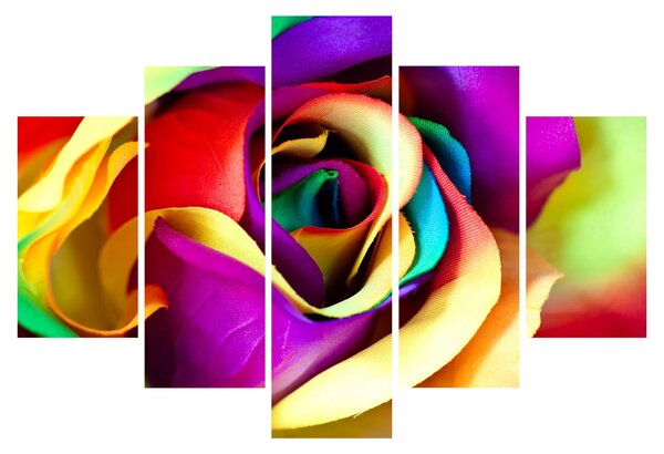Kép - Színes rózsa (150x105 cm)