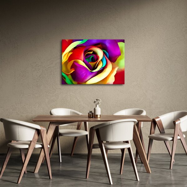 Kép - Színes rózsa (70x50 cm)