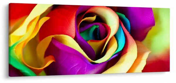 Kép - Színes rózsa (120x50 cm)