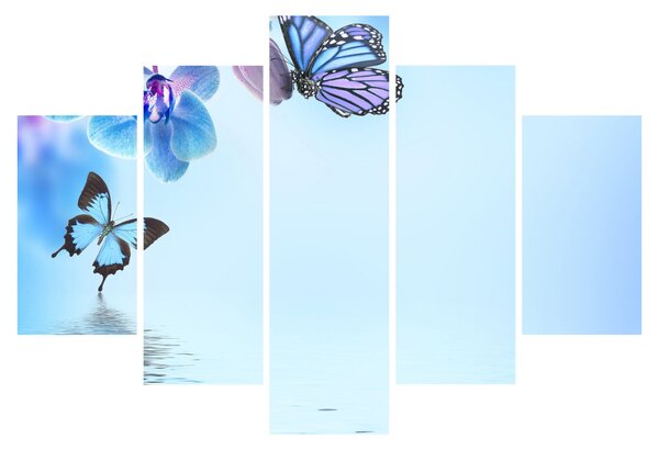 Kép - Pillangó orchidea virágon, kék (150x105 cm)
