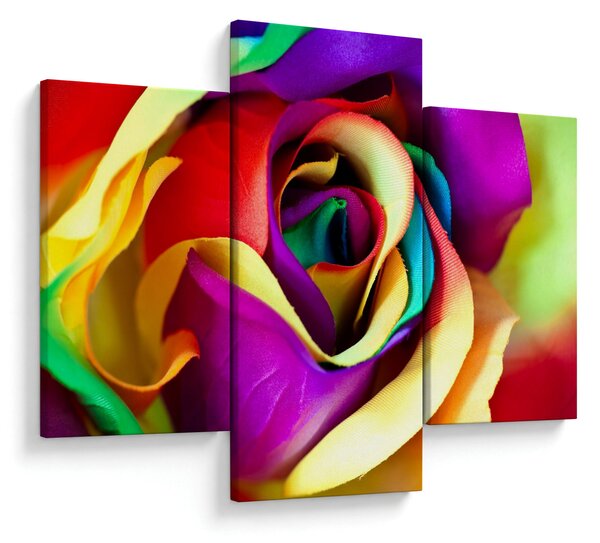 Kép - Színes rózsa (90x60 cm)