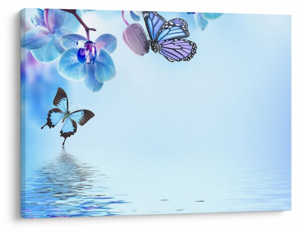 Kép - Pillangó orchidea virágon, kék (70x50 cm)