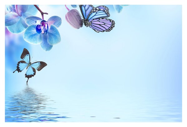 Kép - Pillangó orchidea virágon, kék (90x60 cm)