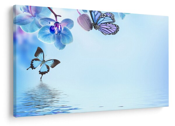 Kép - Pillangó orchidea virágon, kék (90x60 cm)
