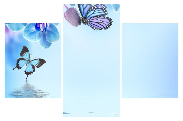Kép - Pillangó orchidea virágon, kék (90x60 cm)
