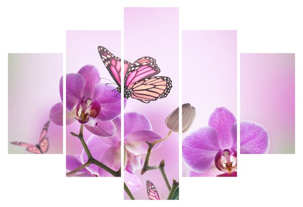 Kép - Pillangó orchidea virágon, lila (150x105 cm)