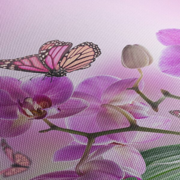 Kép - Pillangó orchidea virágon, lila (90x60 cm)