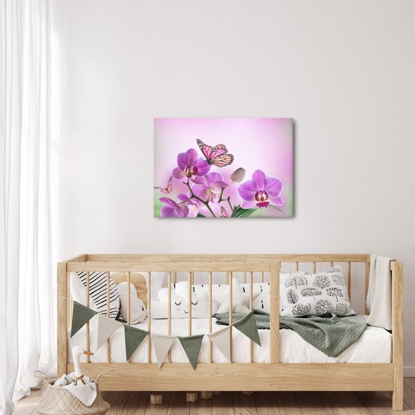 Kép - Pillangó orchidea virágon, lila (70x50 cm)
