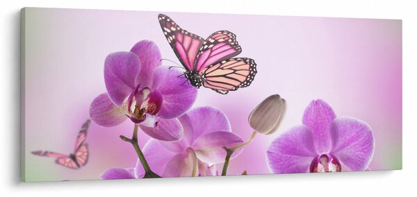 Kép - Pillangó orchidea virágon, lila (120x50 cm)
