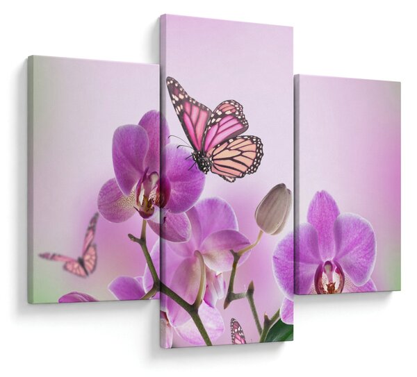Kép - Pillangó orchidea virágon, lila (90x60 cm)