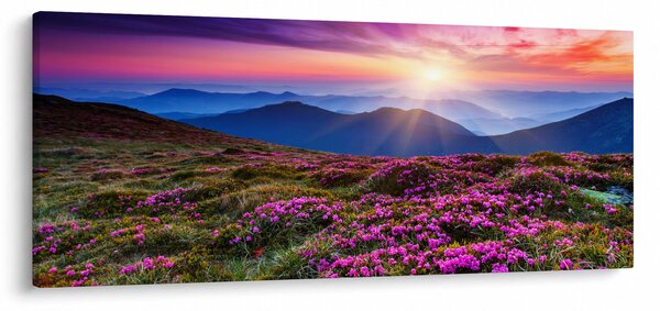 Kép - Hegyi virágzó táj (120x50 cm)