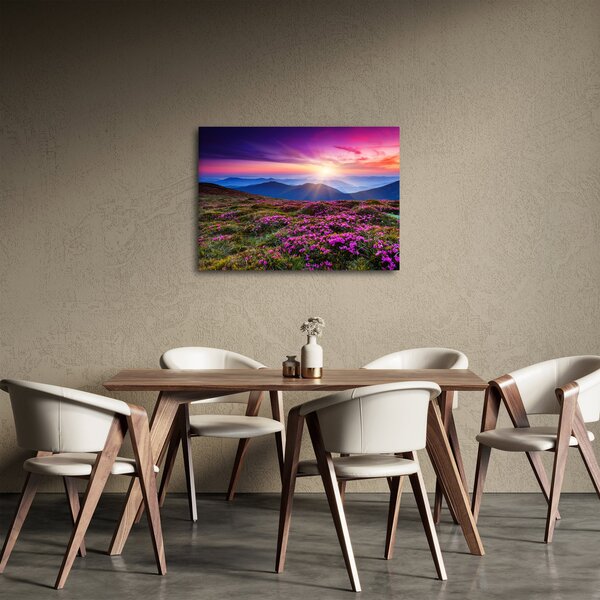 Kép - Hegyi virágzó táj (70x50 cm)