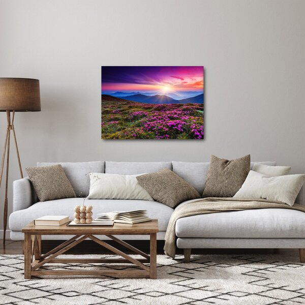 Kép - Hegyi virágzó táj (70x50 cm)