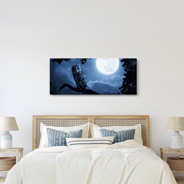 Kép - Éjszakai bagoly (120x50 cm)