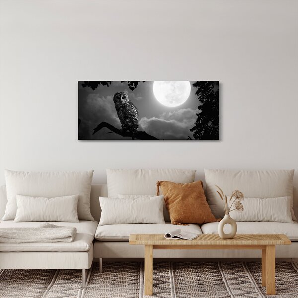Kép - Éjjeli bagoly, fekete-fehér (120x50 cm)