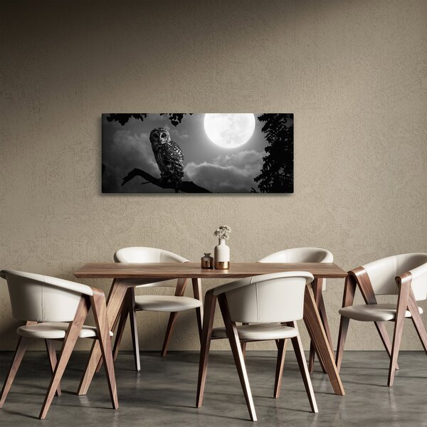Kép - Éjjeli bagoly, fekete-fehér (120x50 cm)