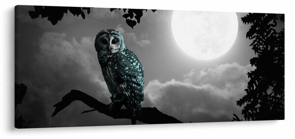 Kép - Éjjeli bagoly, kék (120x50 cm)