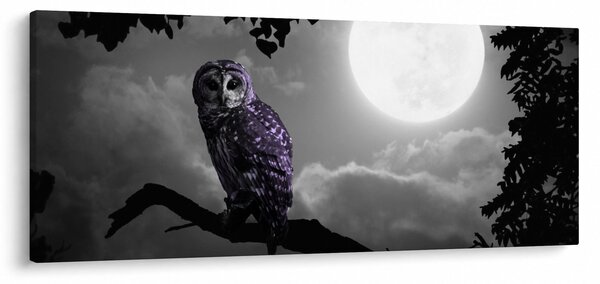 Kép - Éjjeli bagoly, lila bagoly (120x50 cm)