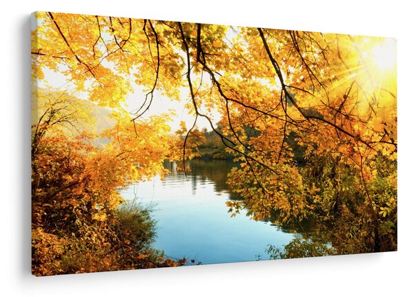 Kép - Őszi fa (90x60 cm)