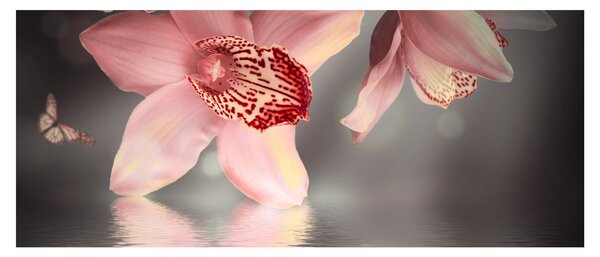 Kép - Virágok és pillangó (120x50 cm)
