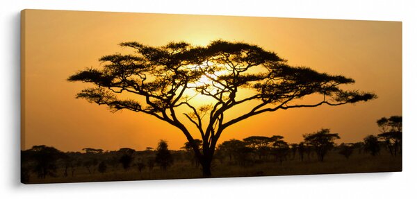 Kép - afrikai szavanna (120x50 cm)