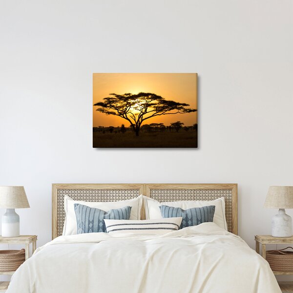 Kép - afrikai szavanna (70x50 cm)