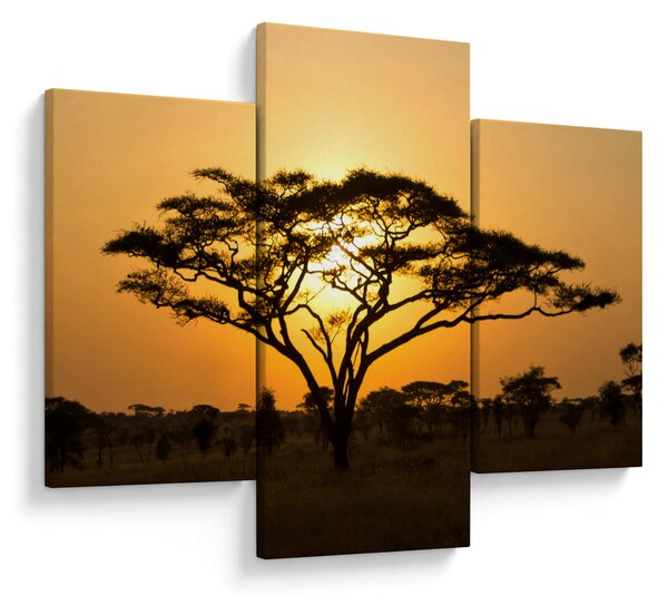 Kép - afrikai szavanna (90x60 cm)