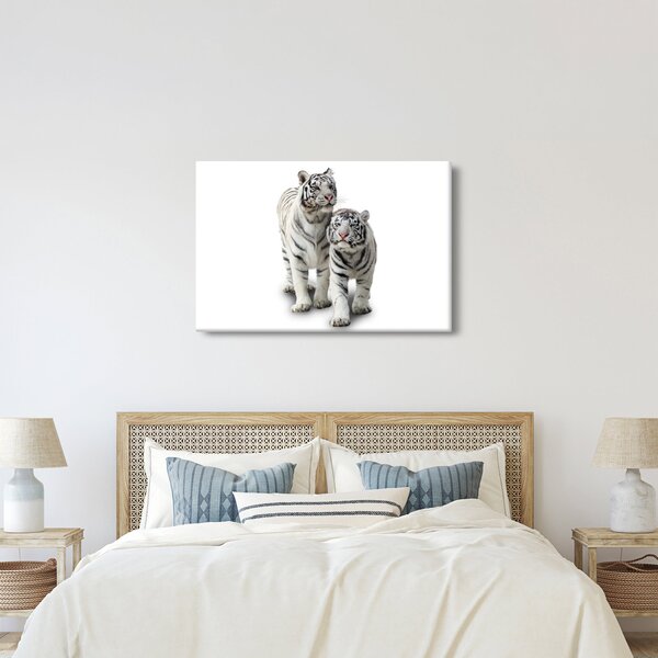 Kép - A fehér tigris (90x60 cm)