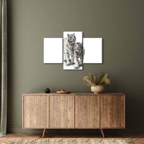 Kép - A fehér tigris (90x60 cm)