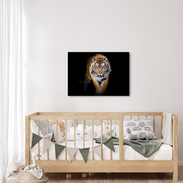 Kép - Tigris (70x50 cm)