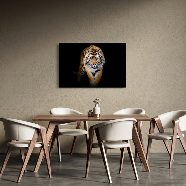 Kép - Tigris (90x60 cm)