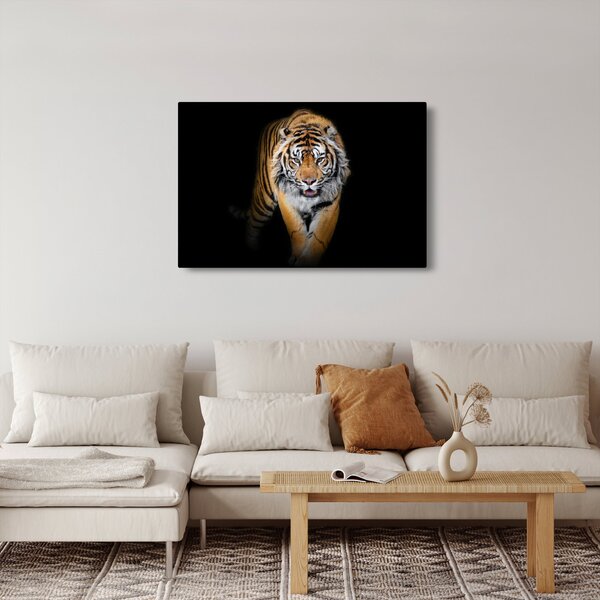 Kép - Tigris (90x60 cm)