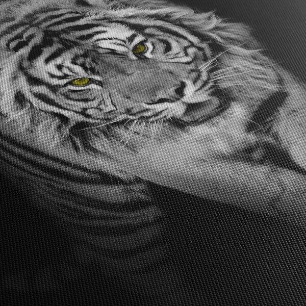 Kép - Sárga szemű tigris (120x50 cm)