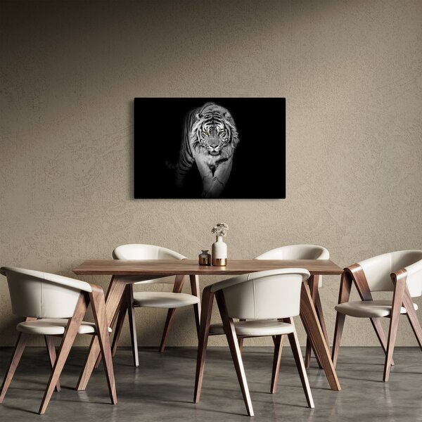 Kép - Sárga szemű tigris (90x60 cm)